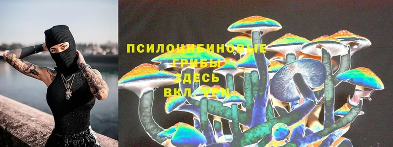 где найти наркотики  Бор  Галлюциногенные грибы Magic Shrooms 